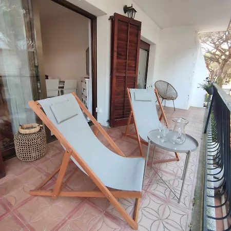 Cosette Mar Bella 31 *